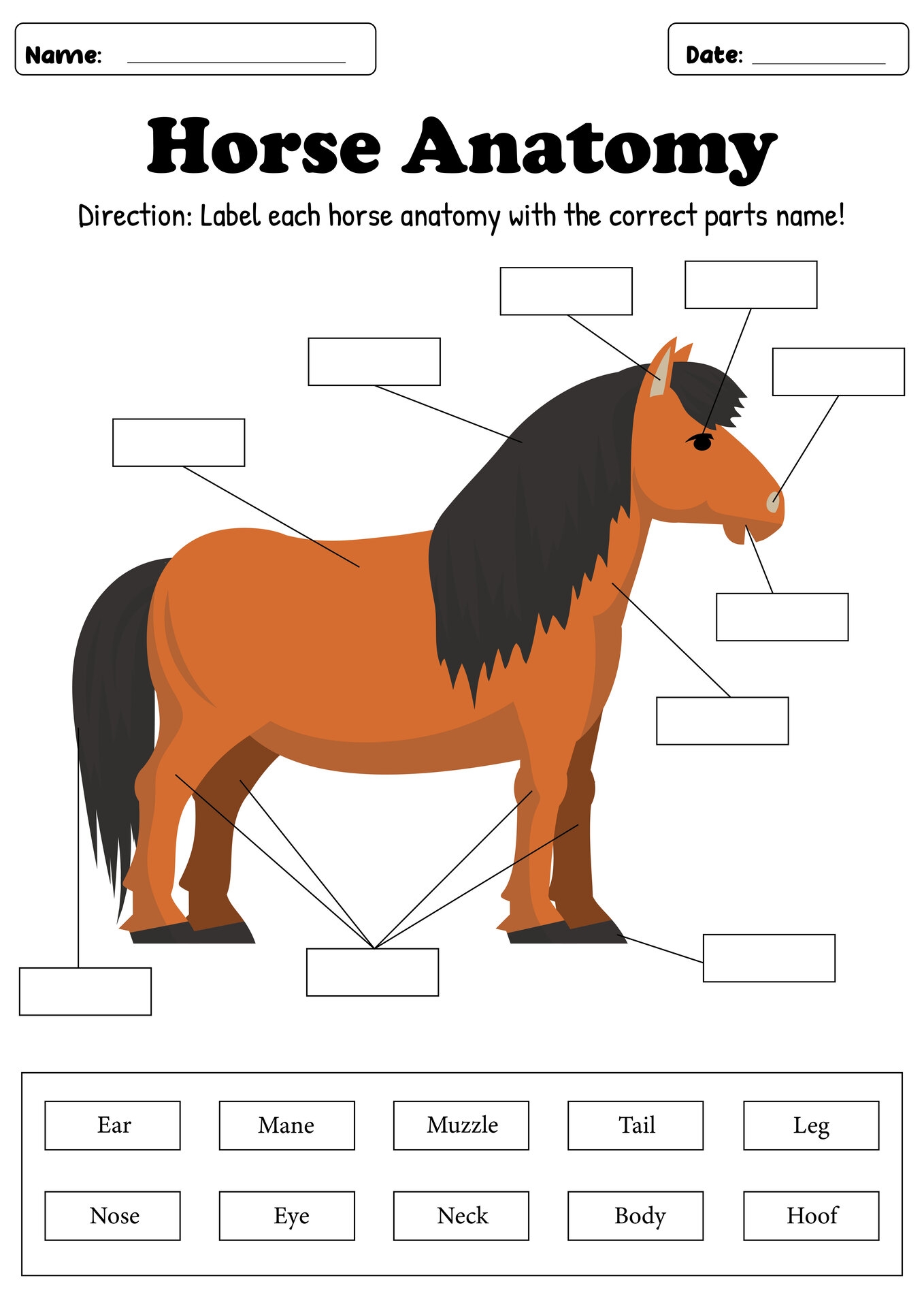 15 Parts Of The Horse Worksheet Free PDF At Worksheeto