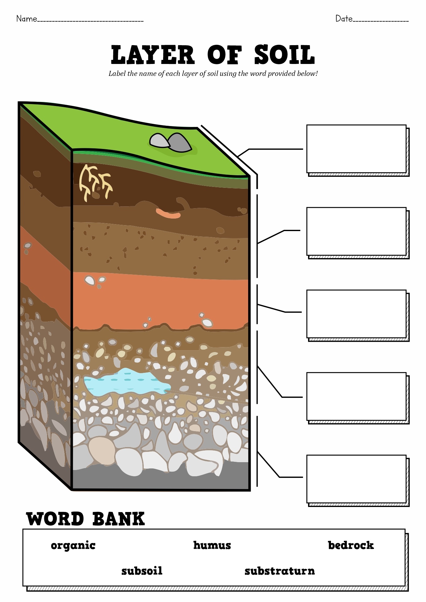 Free Printable Soil Worksheets