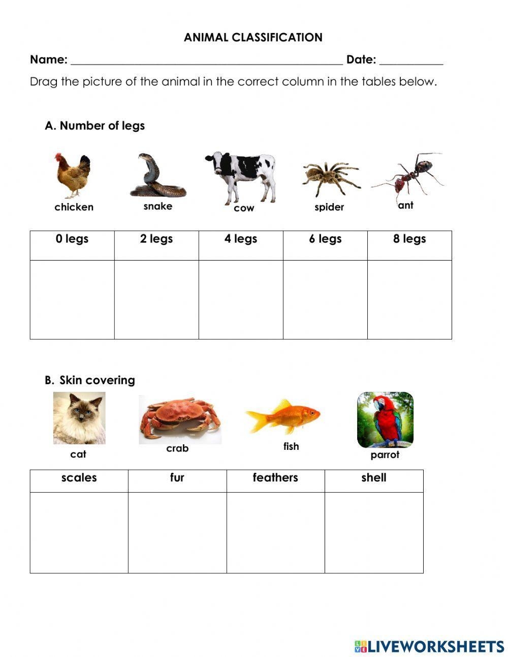 ANIMAL CLASSIFICATION Review Worksheet Worksheet Live Worksheets 