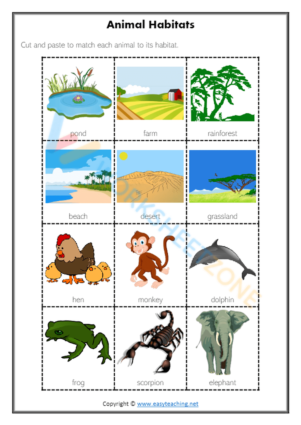 Free Printable Habitat Worksheets Pdf