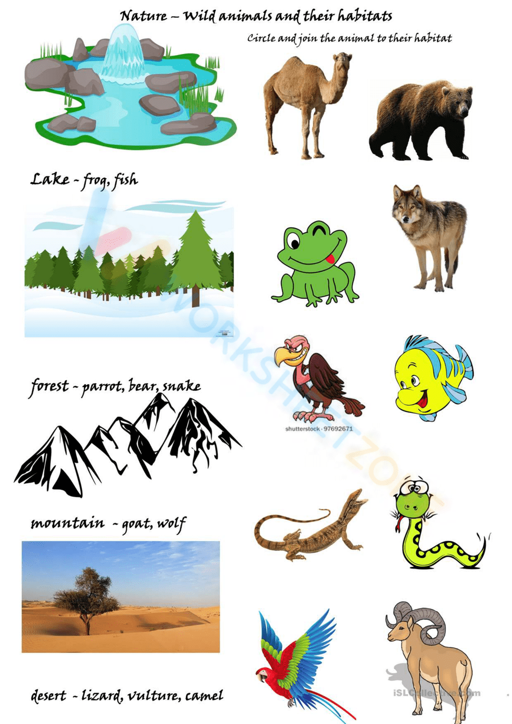 Animal Habitat Worksheets Free Printable