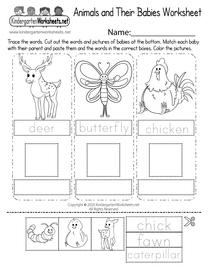 Animals And Their Babies Worksheet Free Printable Digital U0026 PDF