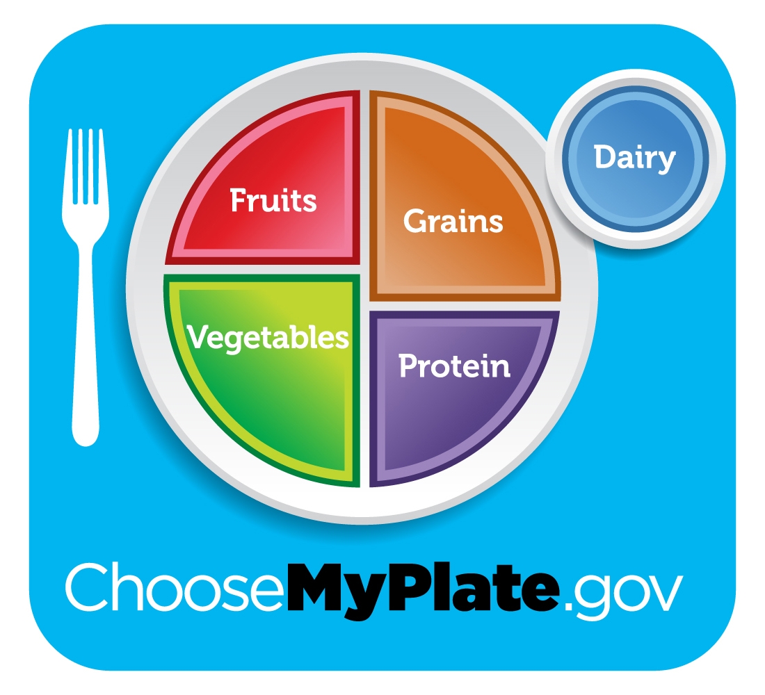 Free Printable My Plate Worksheets