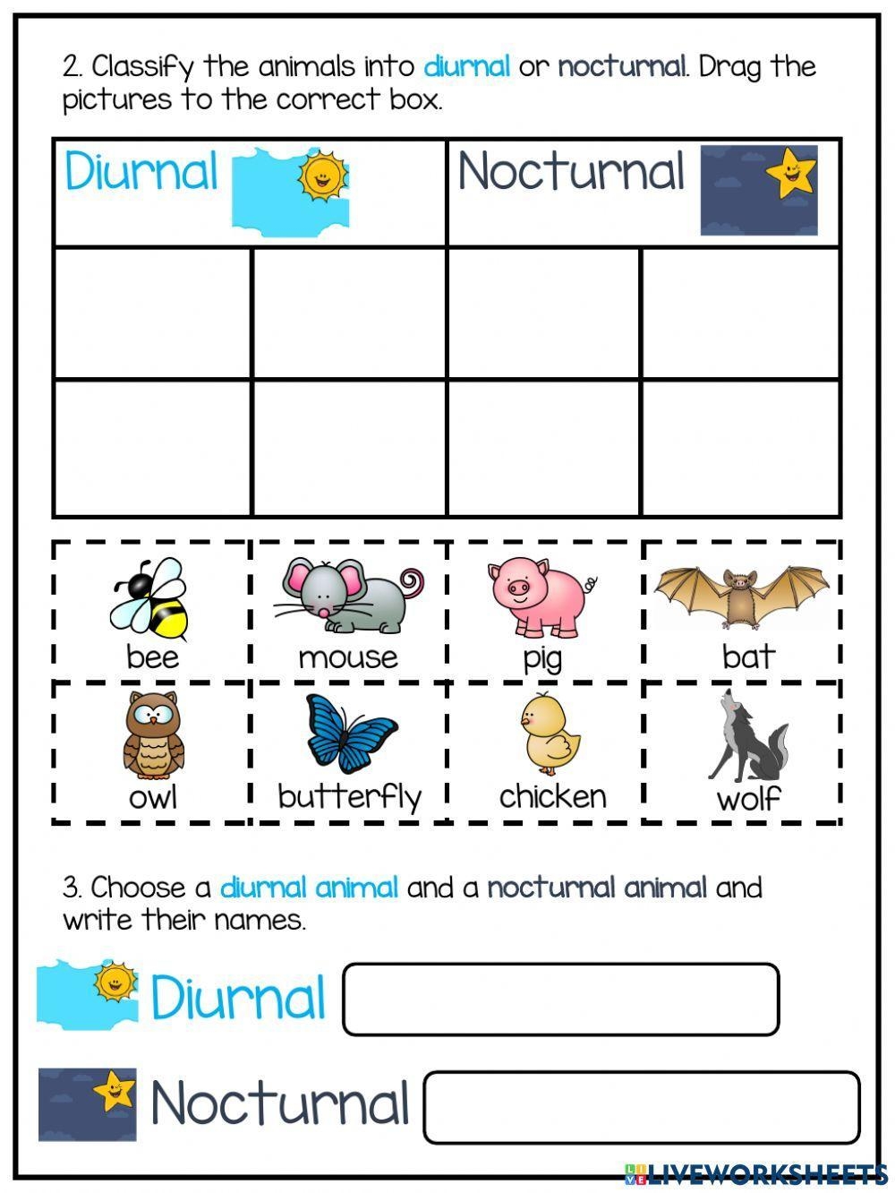 Day And Night Diurnal And Nocturnal Animals Worksheet Live 
