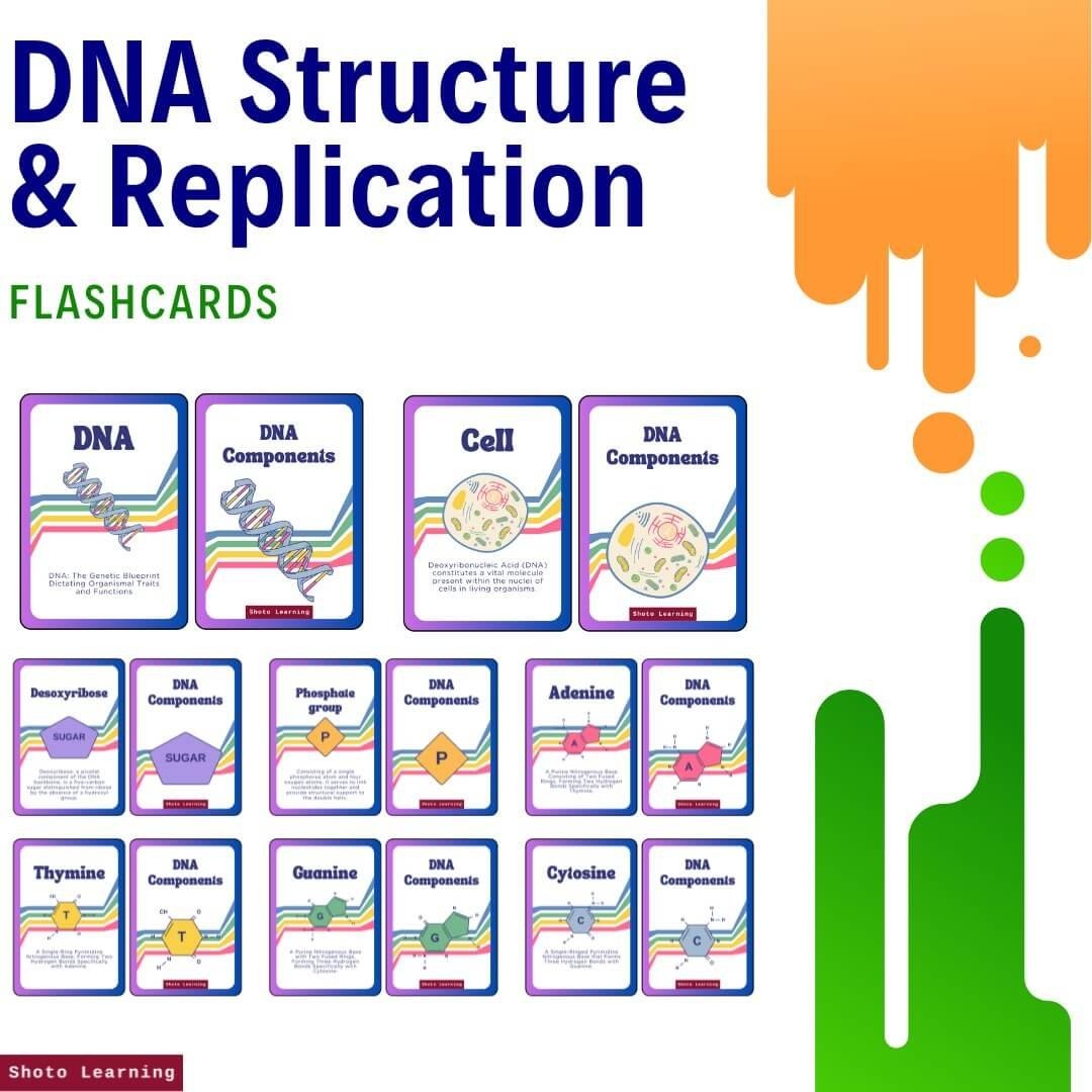 Free Printable Dna Worksheets