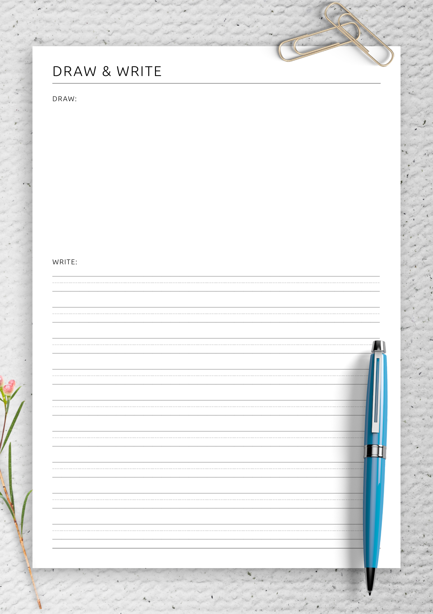 Download Draw U0026 Write Worksheet Printable PDF