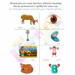 Download Free Printable Homonyms Worksheets For 3rd Grade