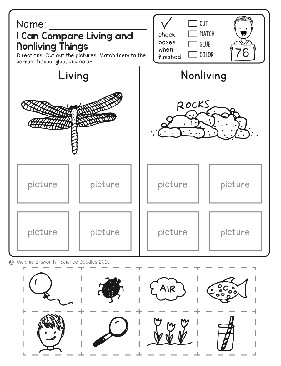 Engaging PreK Science Worksheets For Young Explorers