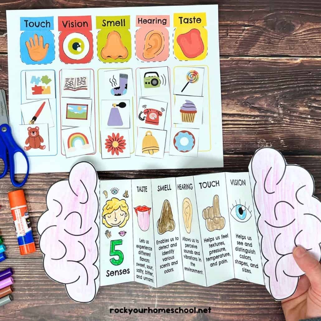 Free Printable 5 Senses Worksheets