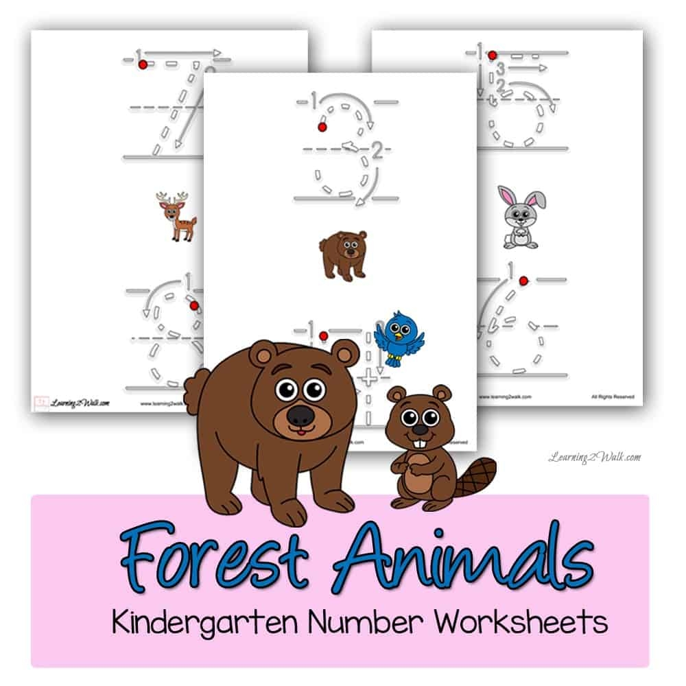 Forest Animals Kindergarten Number Worksheets