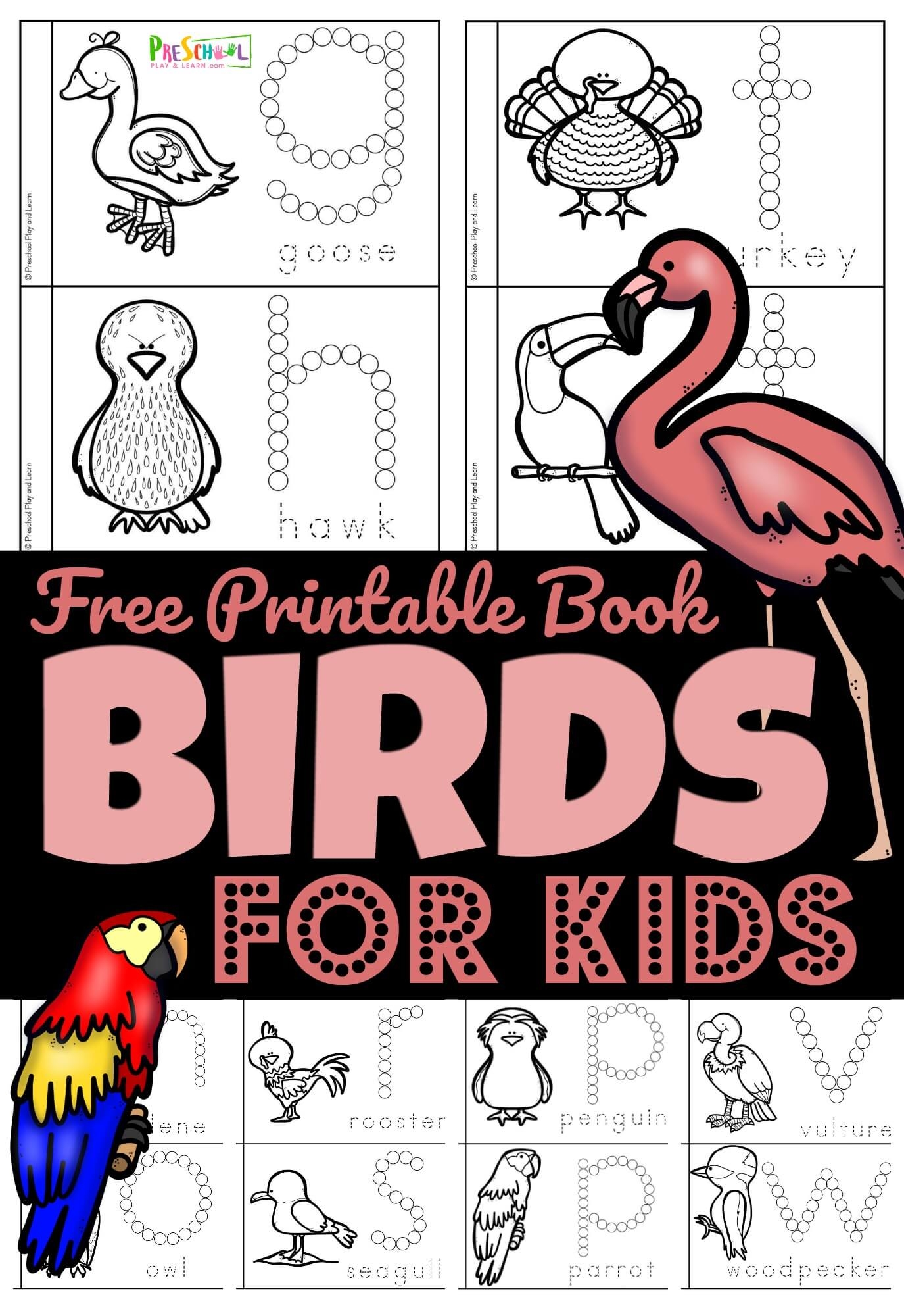 Free Printable Bird Worksheets