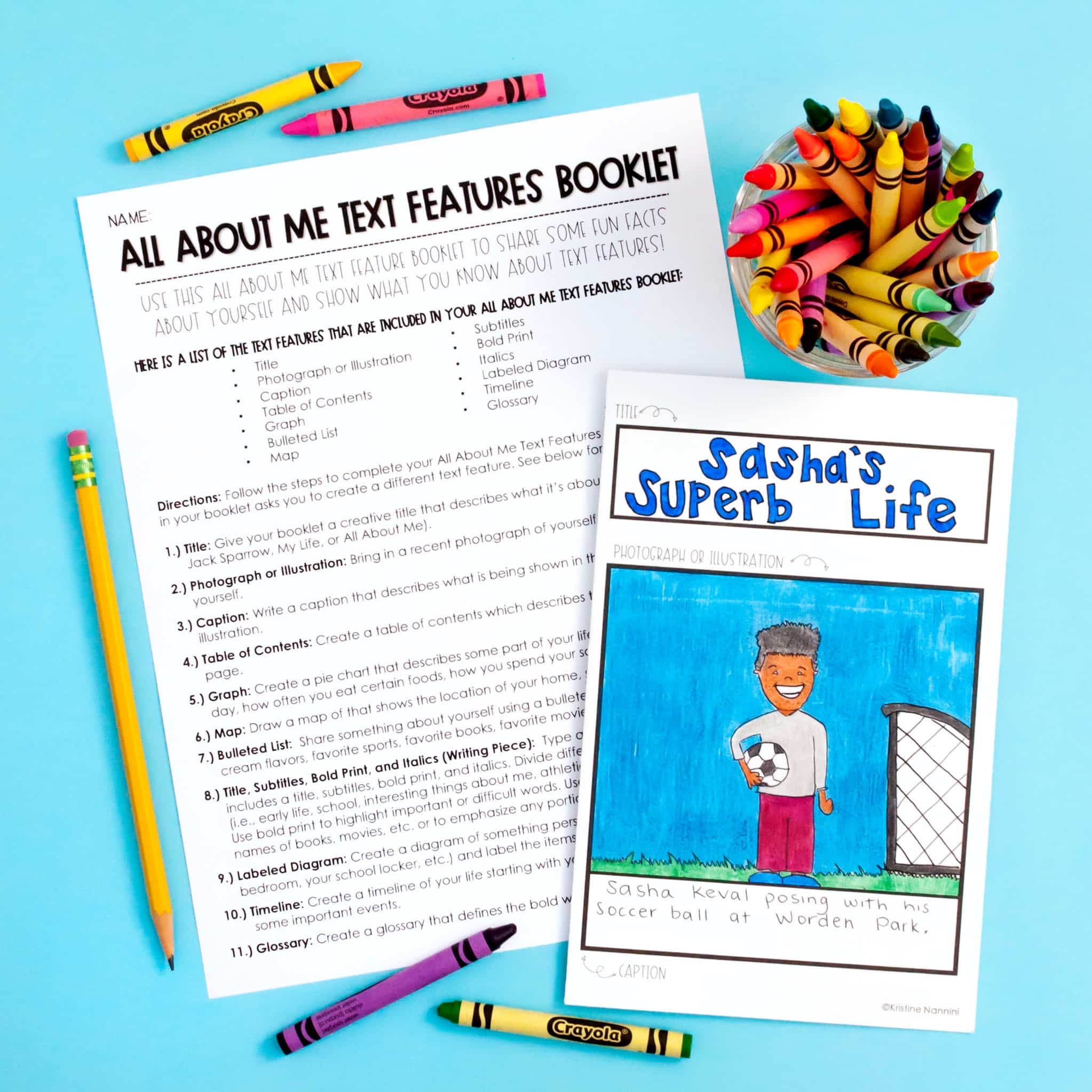 Free Printable Text Features Worksheets