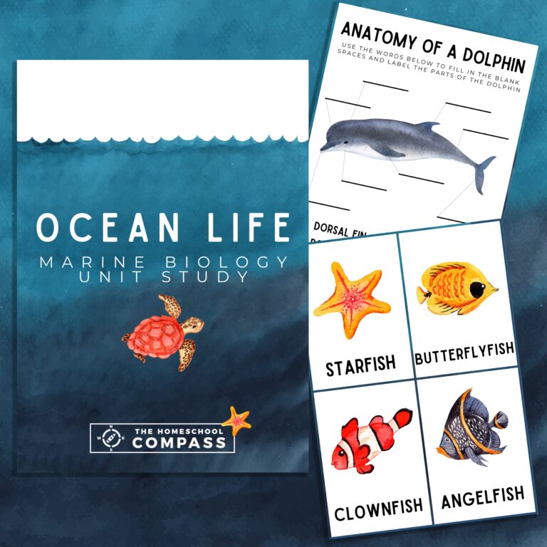 Free Ocean Life Marine Biology Printable Pack Homeschool Compass