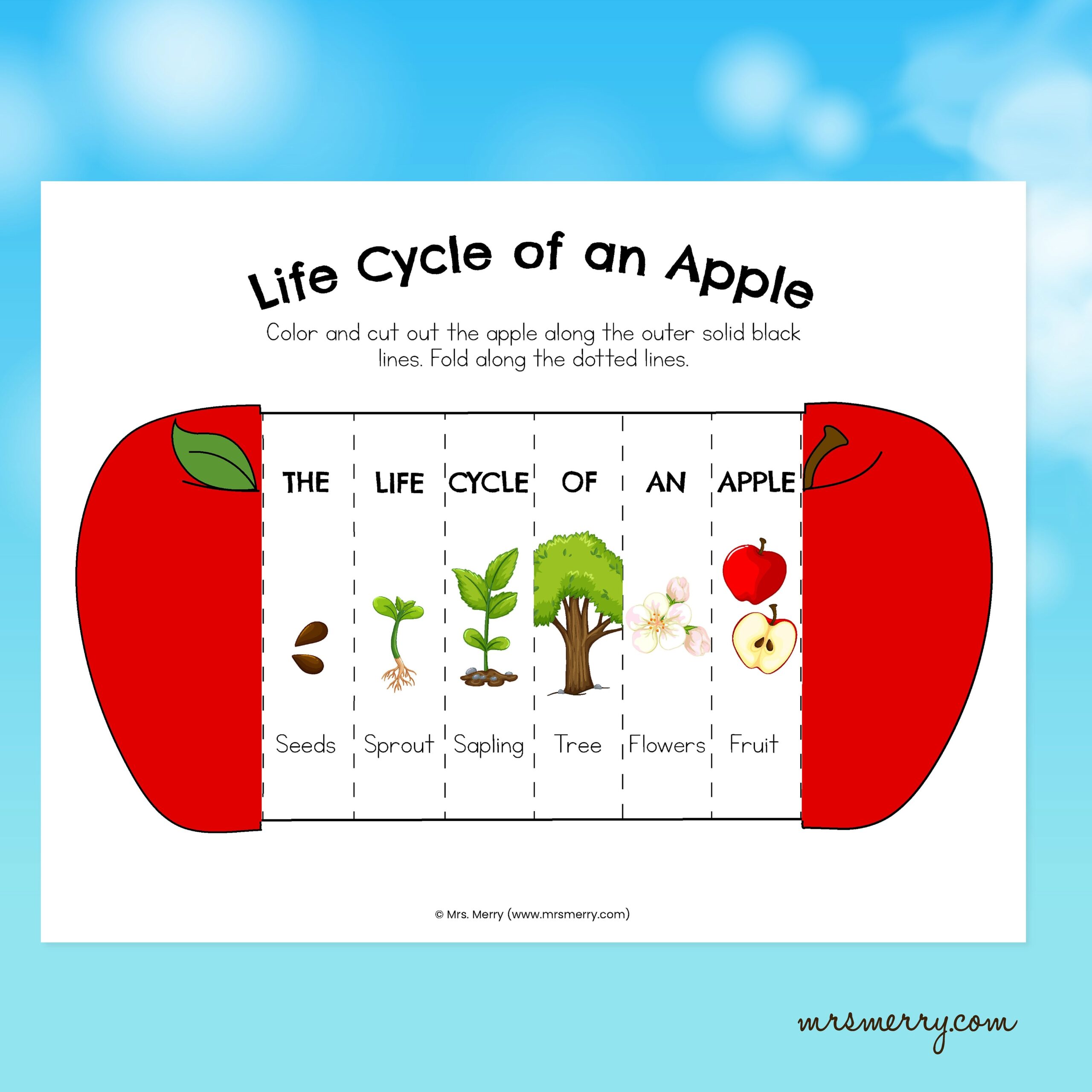 FREE Printable Apple Life Cycle Spinner Activity Worksheets Library