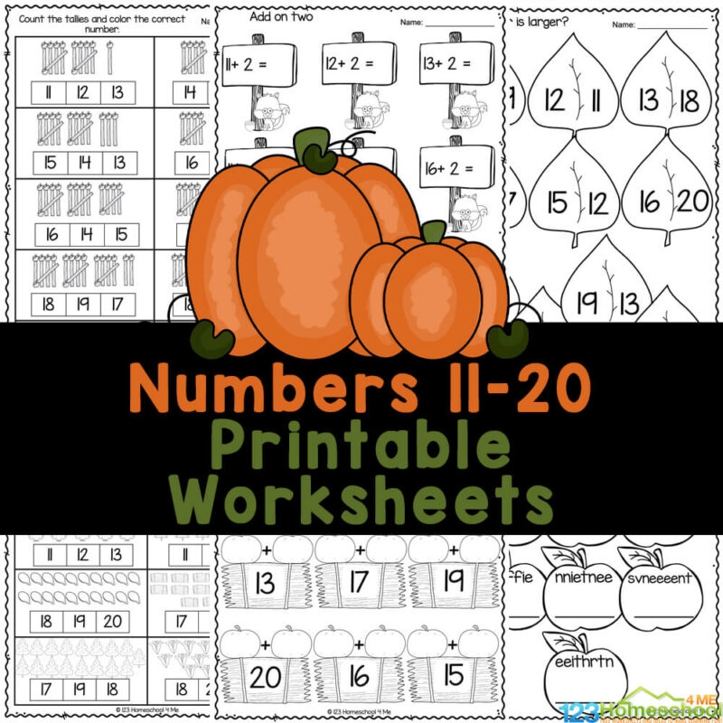FREE Printable Fall Math Numbers 11 To 20 Worksheets  FREE Printable Fall Math Numbers 11 To 20 Worksheets