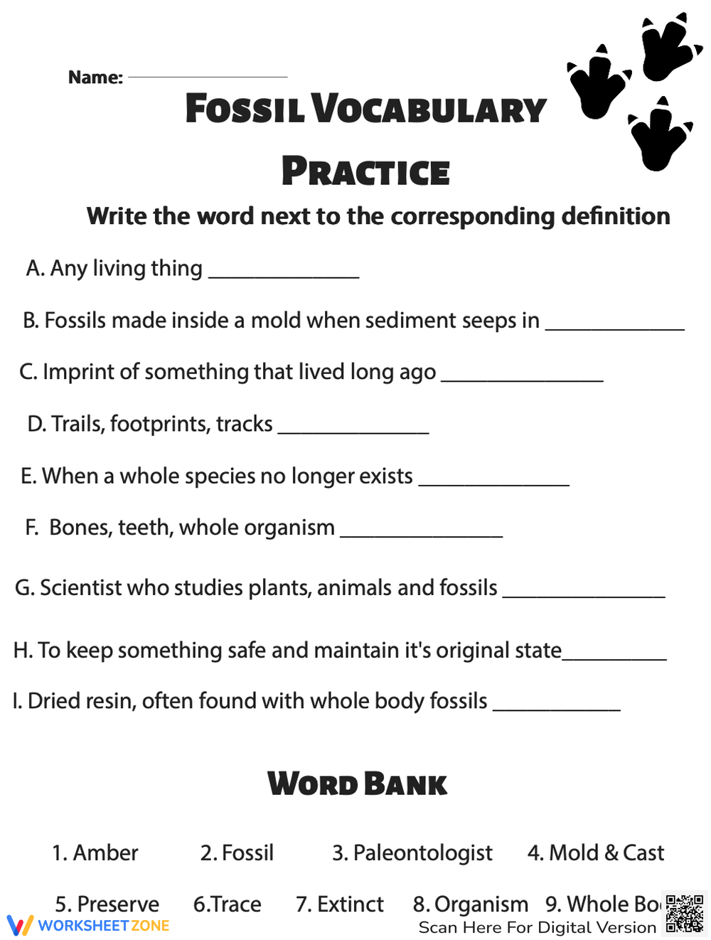 Free Printable Fossils Worksheets For Teaching U0026 Learning Worksheets Library