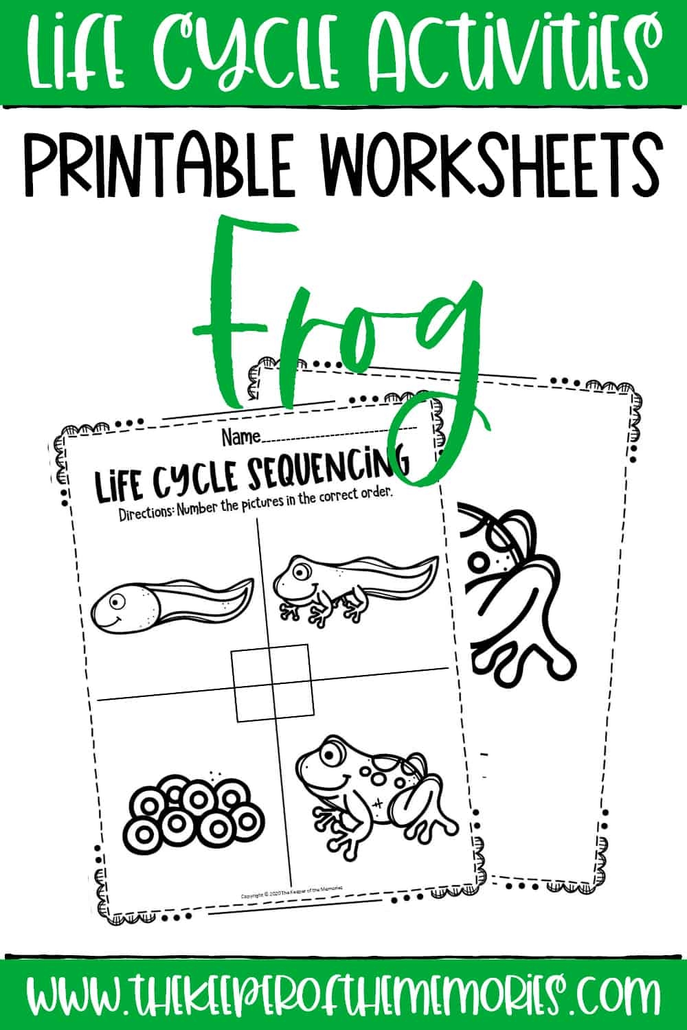 Free Printable Frog Life Cycle Worksheet Free Printable Frog Life Cycle Worksheet
