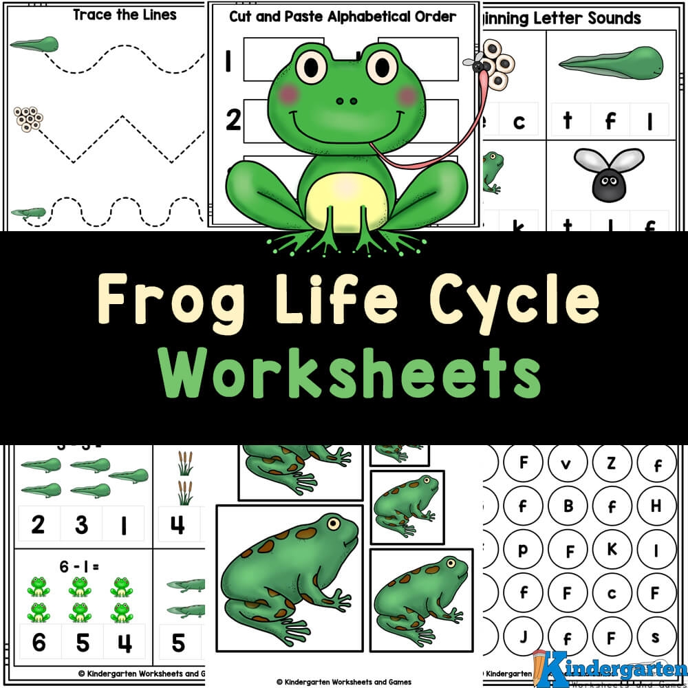 FREE Printable Frog Life Cycle Worksheets  FREE Printable Frog Life Cycle Worksheets