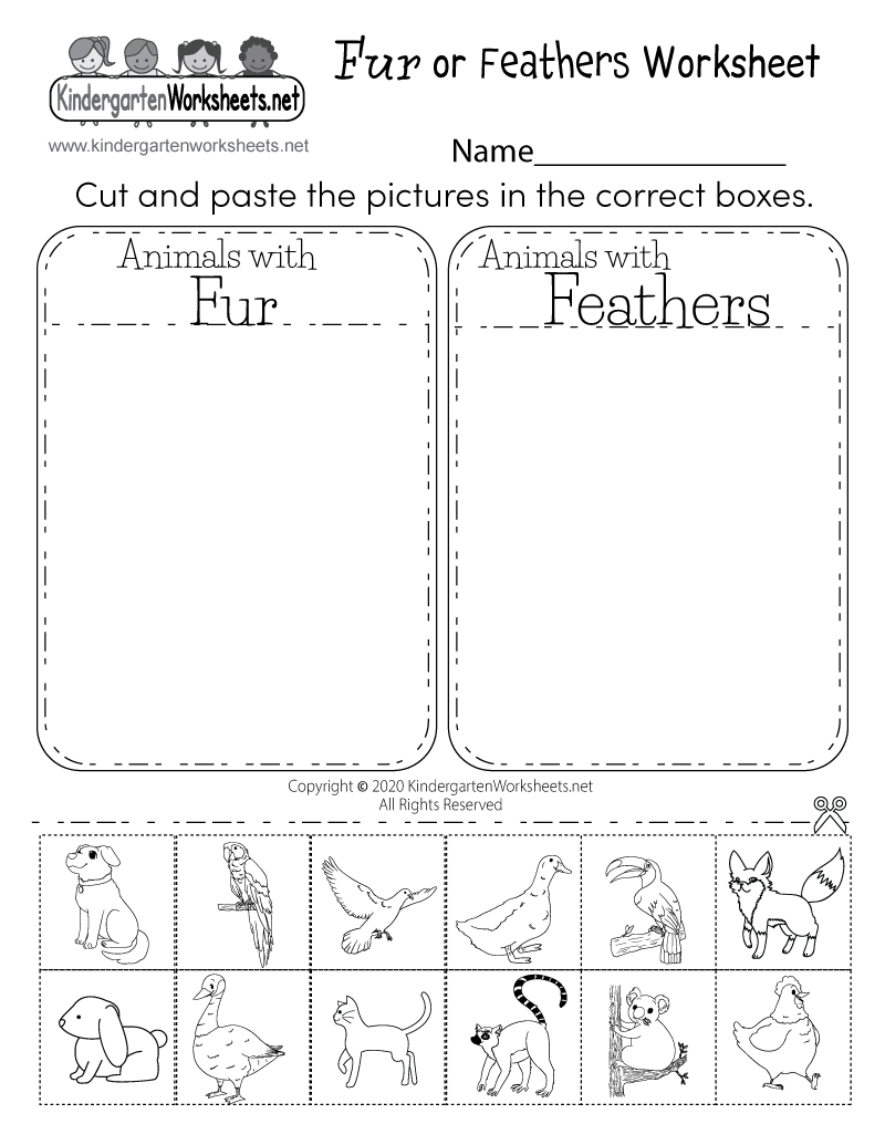 Free Printable Elementary Science Worksheets
