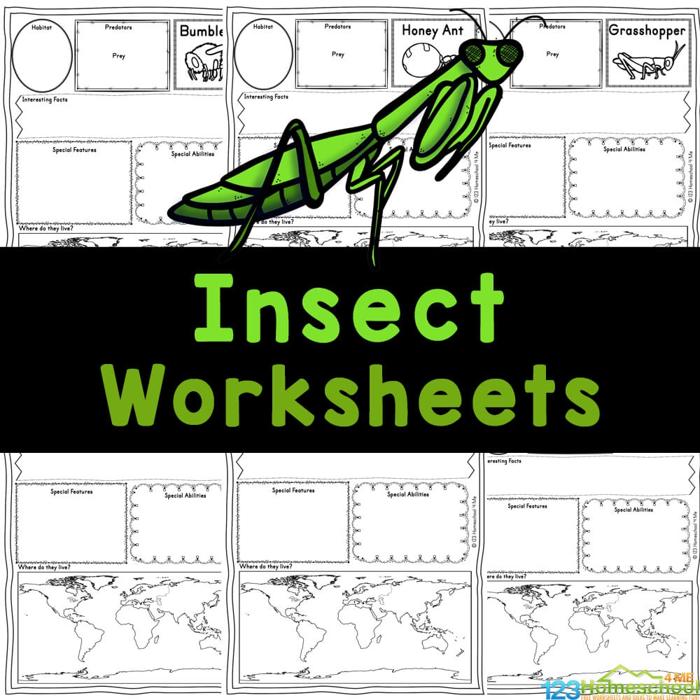 Free Printable Insect Worksheets For Preschoolers