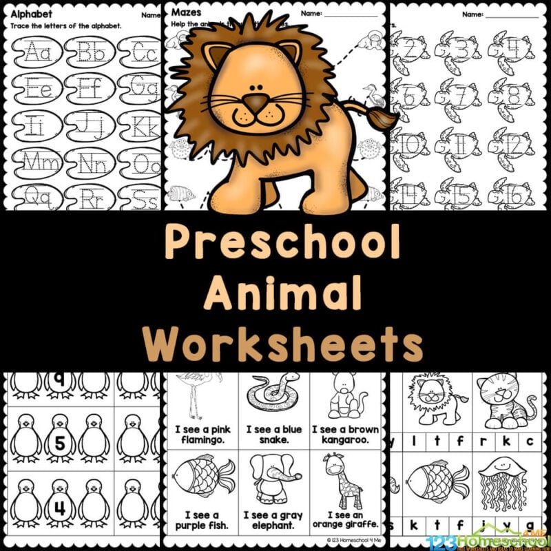 Free Printable Worksheets For Prek