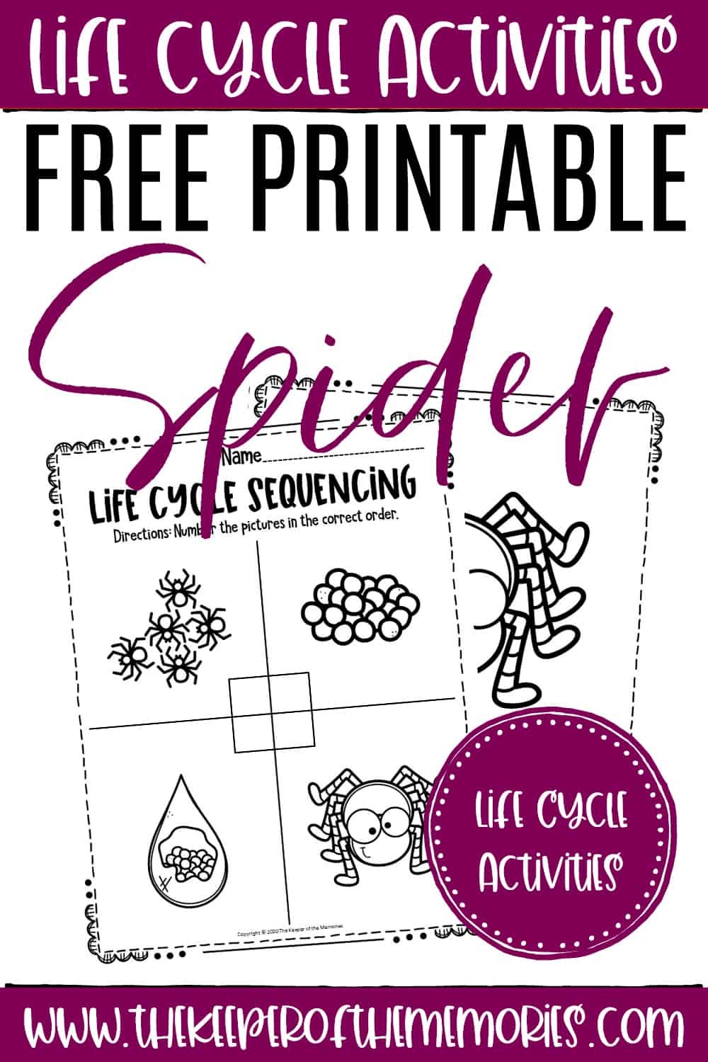 Free Printable Spider Worksheets