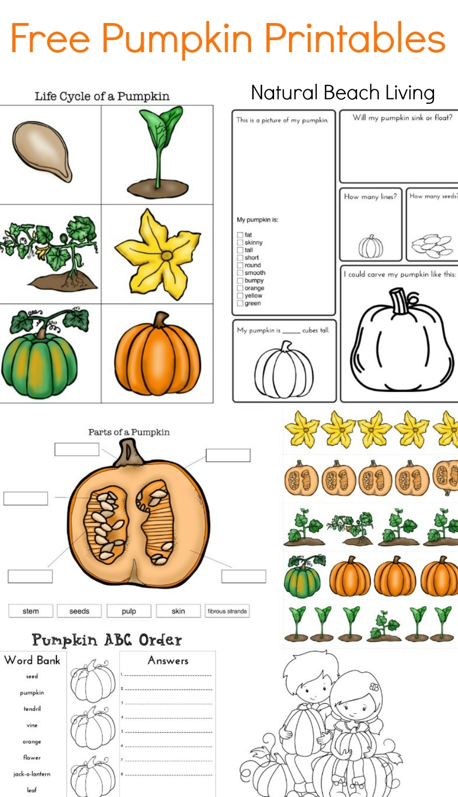 Free Pumpkin Worksheets Printable Worksheets Library