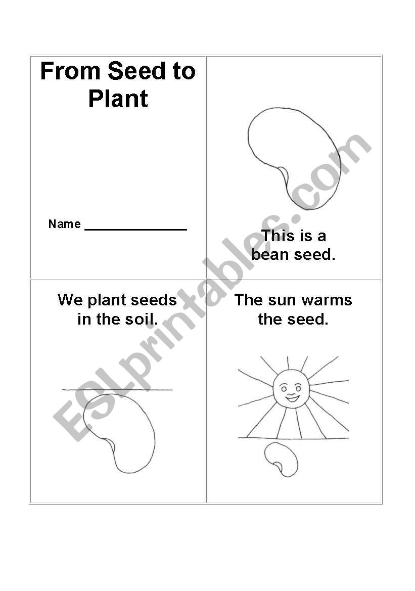 From Seed To Plant Book ESL Worksheet By Sgsilvey