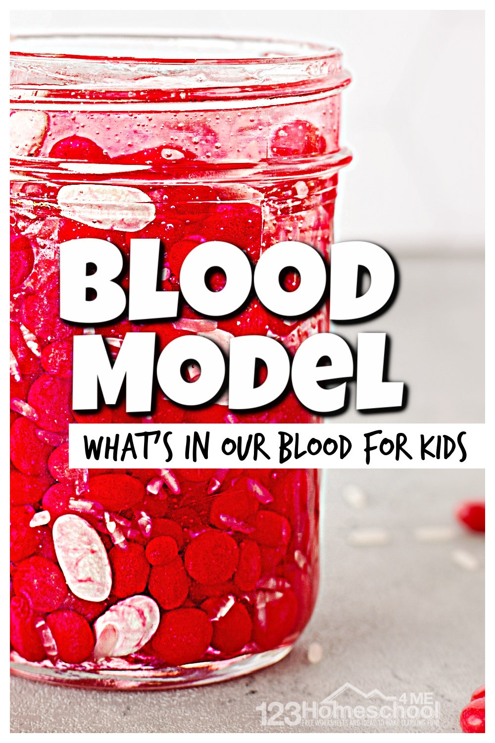  Hands on Blood For Kids Activity To Learn About The Human Body