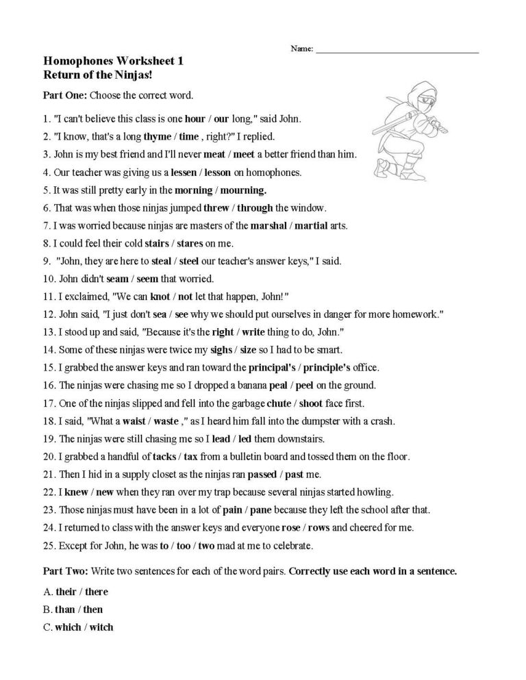 Homophones U0026 Word Choice Worksheets Language Arts Activities