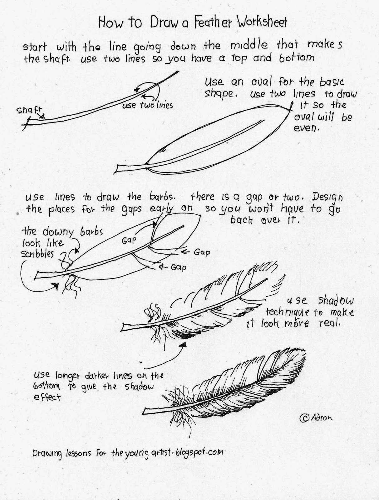 How To Draw Worksheets For The Young Artist How To Draw A Feather Free Worksheet