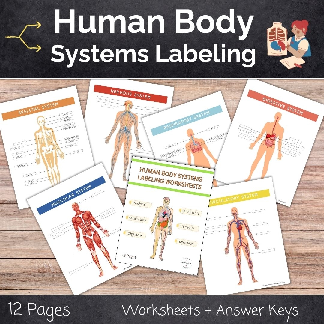 Human Body Systems Labeling Worksheets Homeschool Giveaways