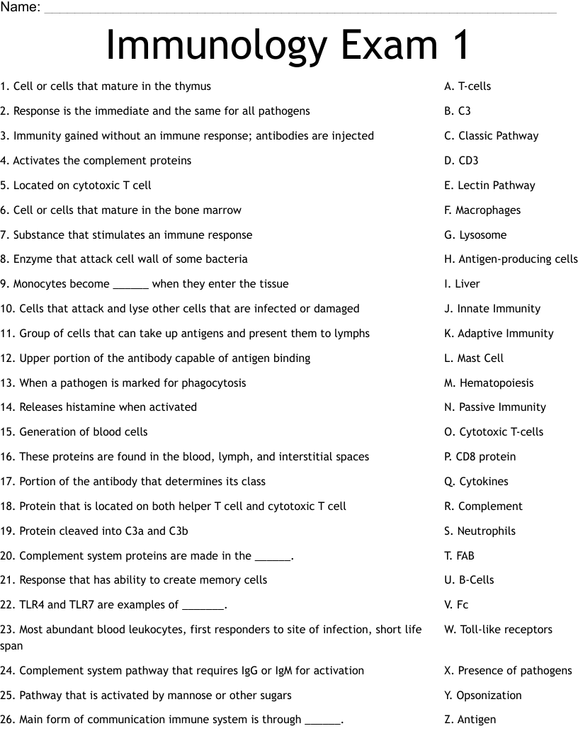 Immunology Exam 1 Worksheet WordMint