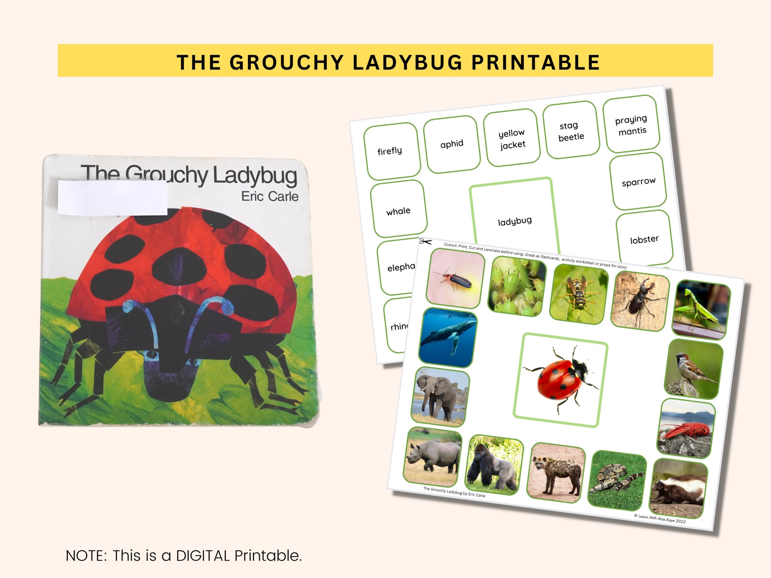 Montessori Busy Book Activity Worksheet Quiet Book Toddler And Preschool Busy Binder PDF The Grouchy Ladybug Printable Learning Binder Etsy