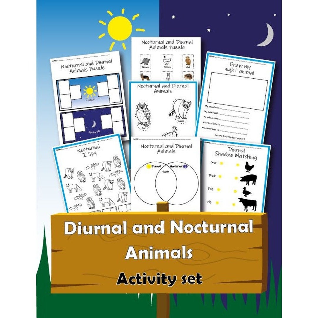 Free Printable Nocturnal Animals Worksheets