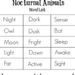 Nocturnal Animals Writing Tray With Free Printable Word List