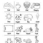 Opposites Comparison Worksheets For Preschool And Kindergarten 2 To 6 Years Kids
