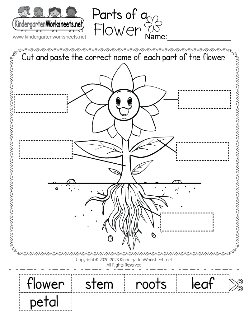 Kindergarten Science Free Printable Worksheets Kindergarten Science Free Printable Worksheets