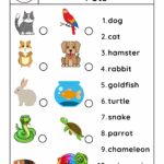 Pet Worksheets Games4esl
