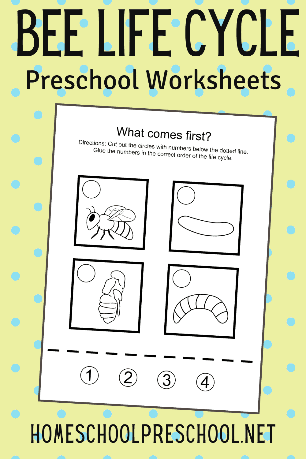 Printable Bee Life Cycle For Kids Worksheets Printable Bee Life Cycle For Kids Worksheets