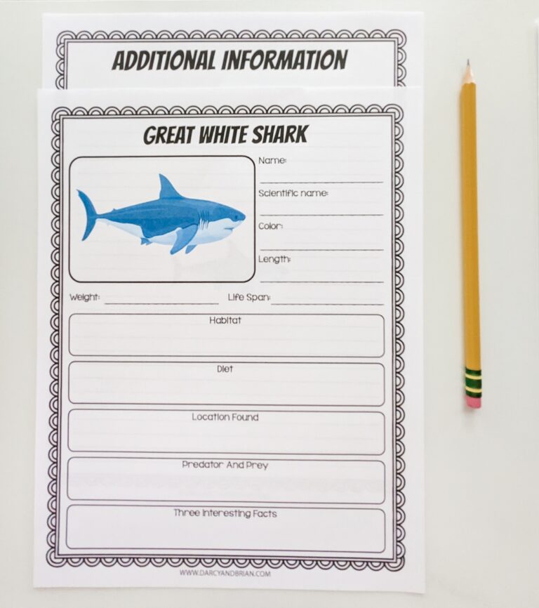 Printable Shark Research Worksheets For Kids