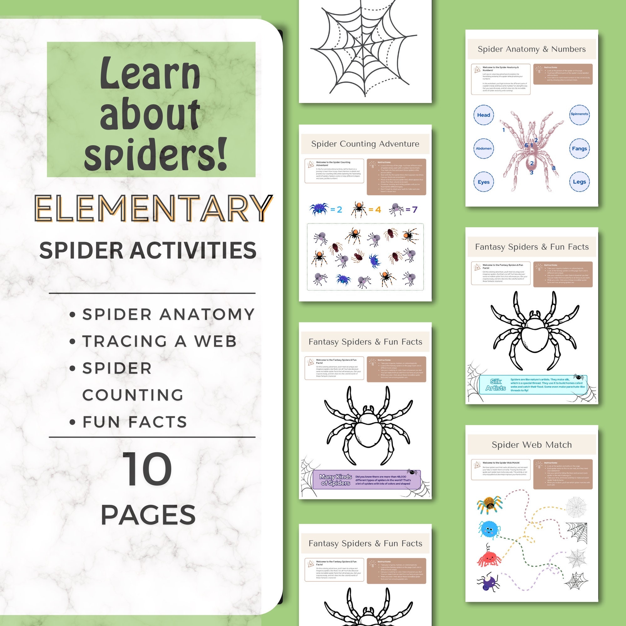 Printable Spider Activities Printable Preschool Activity Pages Kindergarten Worksheets Preschool Worksheets Spider Worksheets