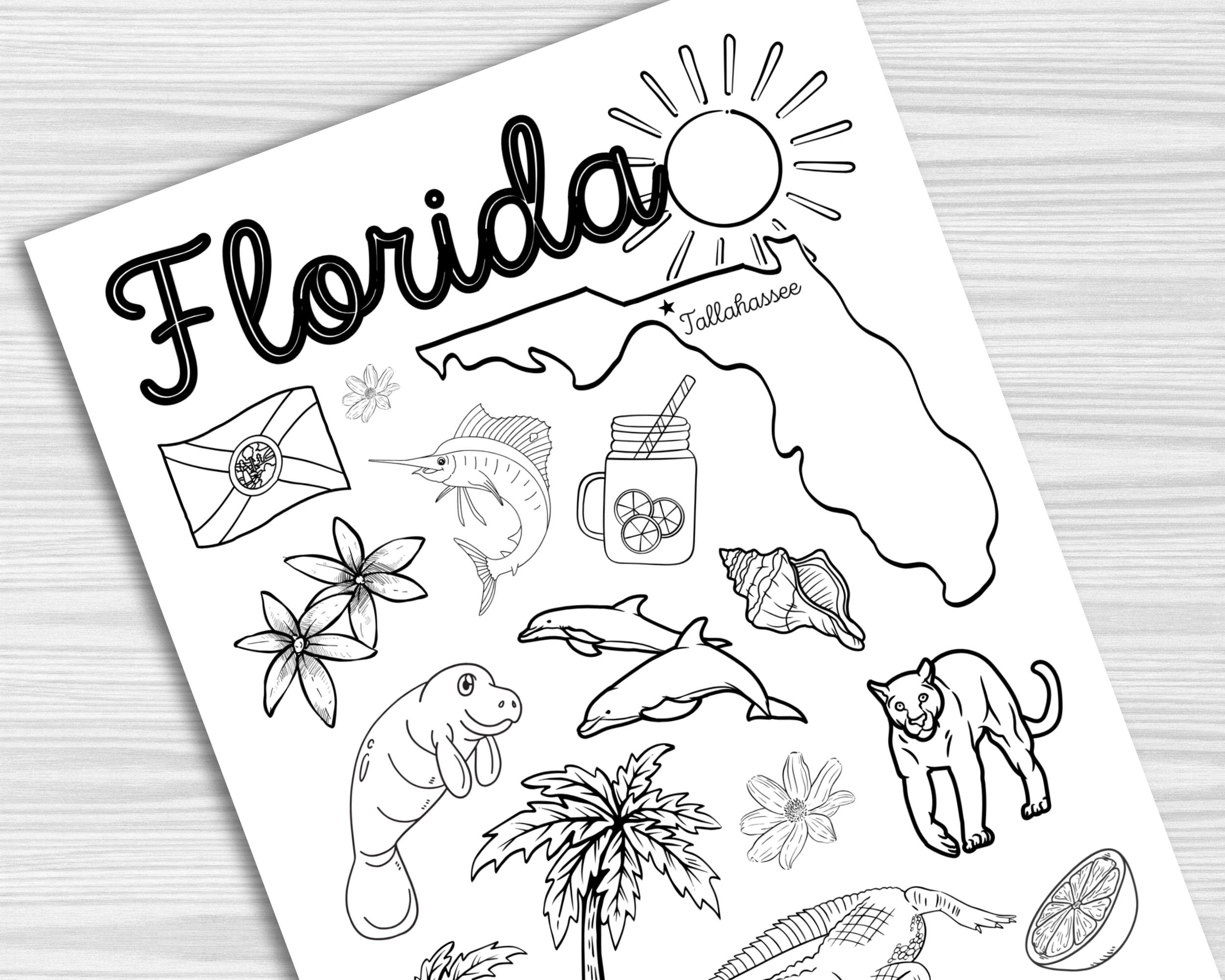 Set Of 5 Florida Worksheets State Of Florida Printable Word Search 4th Grade Worksheet Etsy