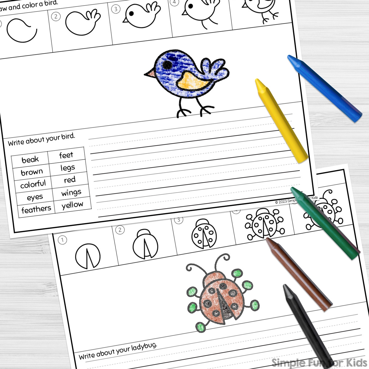 Spring Directed Drawings Differentiated Draw And Write Worksheets