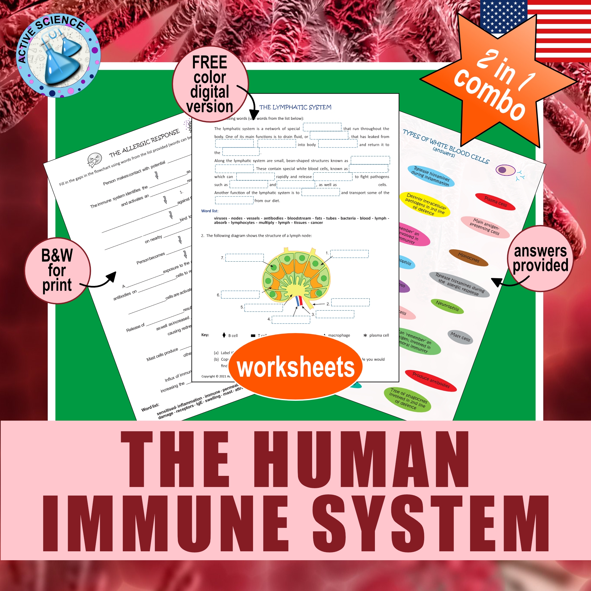 Free Printable Immune System Worksheet Pdf