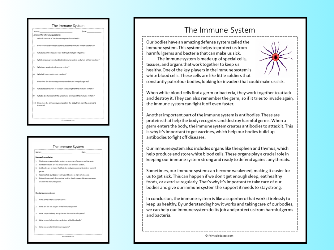 The Immune System Reading Comprehension Passage Printable Worksheet Teaching Resources