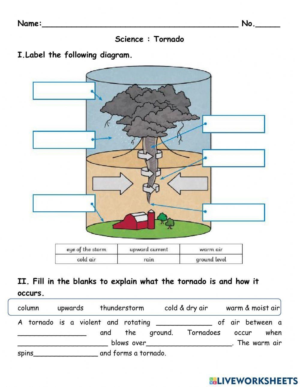 Tornado In A Glass Science Activity K5 Learning Worksheets Library
