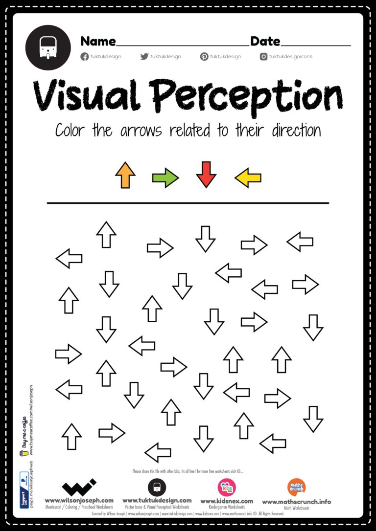 Visual Perception TukTuk Design